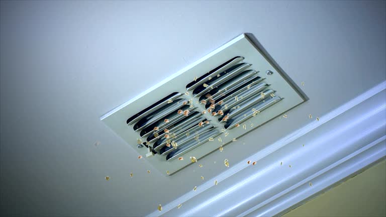 Best Ventilation Cleaning Services  in Golden Glades, FL